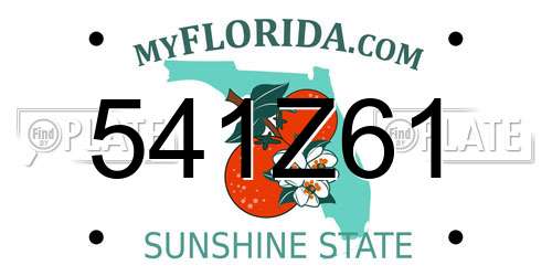 541Z61 Florida License Plate