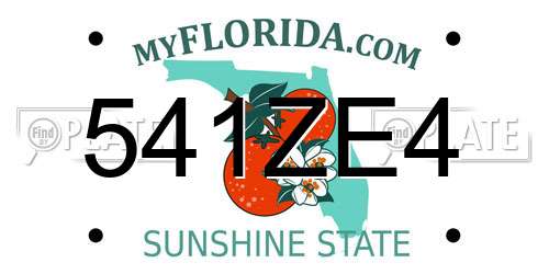 541ZE4 Florida License Plate