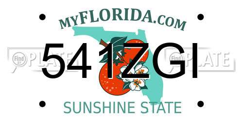541ZGI Florida License Plate
