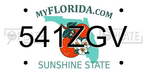 541ZGV Florida License Plate