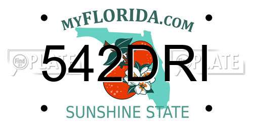 542DRI Florida License Plate