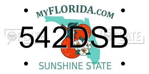 542DSB Florida License Plate
