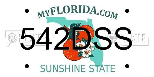 542DSS Florida License Plate