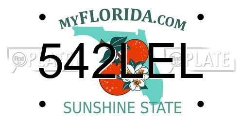 542LEL Florida License Plate