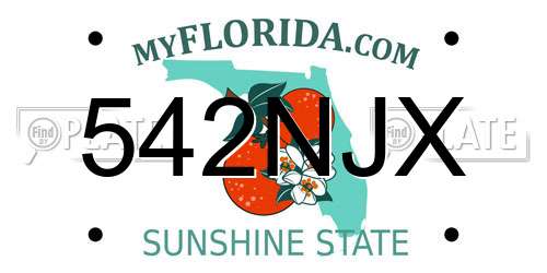 542NJX Florida License Plate