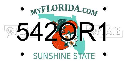 542OR1 Florida License Plate