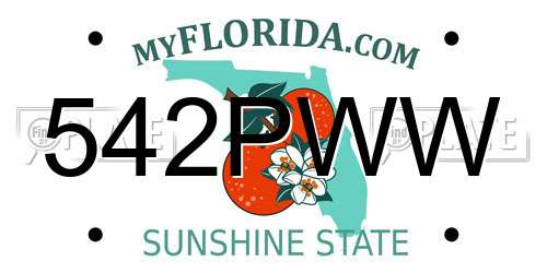 542PWW Florida License Plate