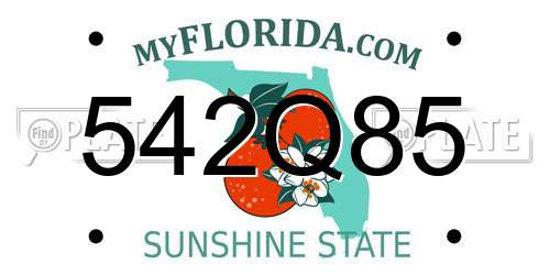 542Q85 Florida License Plate