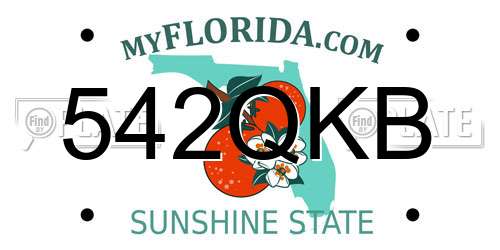542QKB Florida License Plate