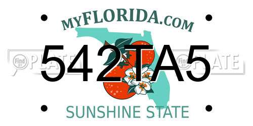 542TA5 Florida License Plate