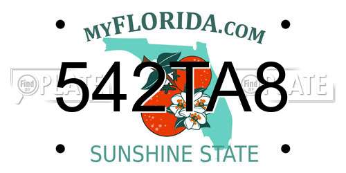 542TA8 Florida License Plate