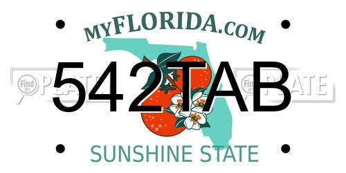542TAB Florida License Plate