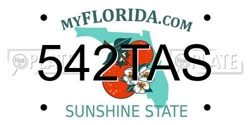542TAS Florida License Plate