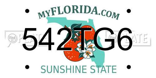 542TG6 Florida License Plate