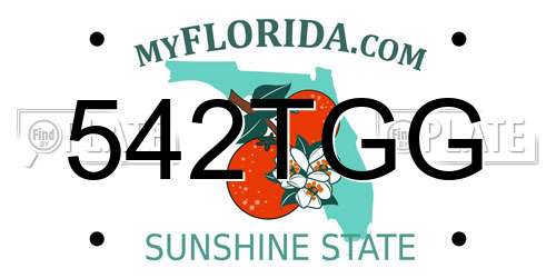 542TGG Florida License Plate