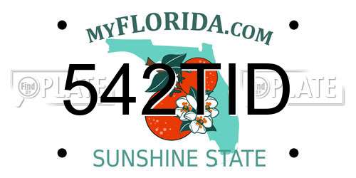 542TID Florida License Plate