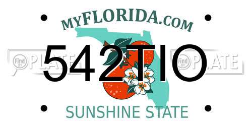 542TIO Florida License Plate