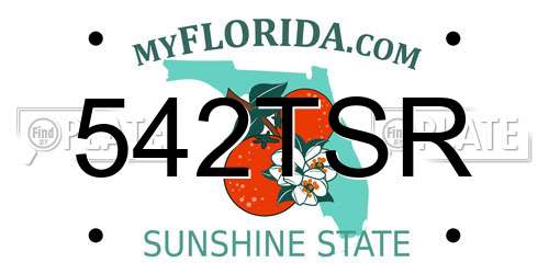 542TSR Florida License Plate