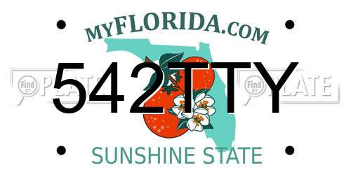 542TTY Florida License Plate