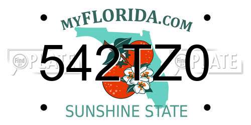 542TZ0 Florida License Plate