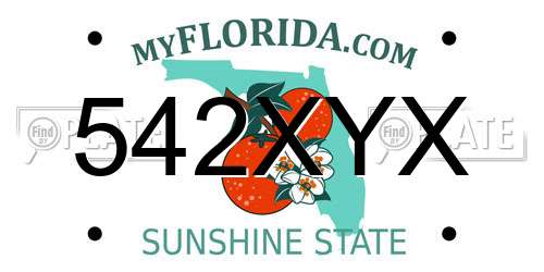 542XYX Florida License Plate