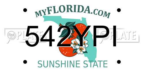 542YPI Florida License Plate