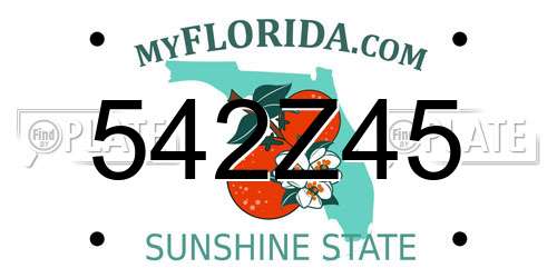 542Z45 Florida License Plate