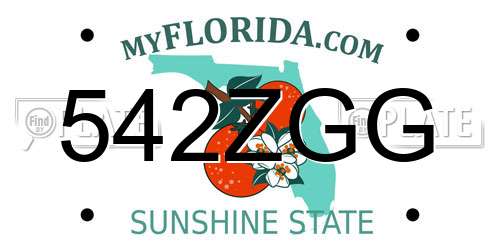 542ZGG Florida License Plate