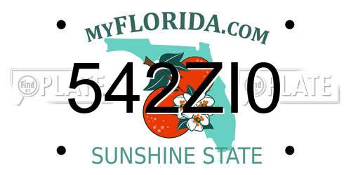 542ZI0 Florida License Plate