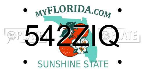 542ZIQ Florida License Plate