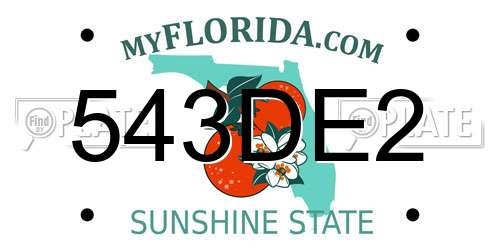 543DE2 Florida License Plate