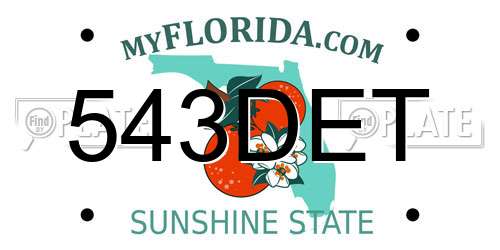 543DET Florida License Plate