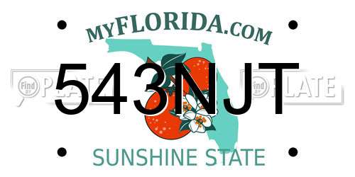 543NJT Florida License Plate
