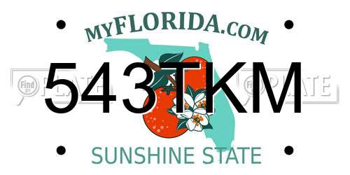 543TKM Florida License Plate