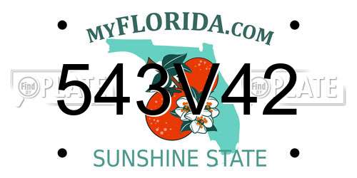 543V42 Florida License Plate