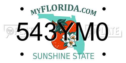543YM0 Florida License Plate