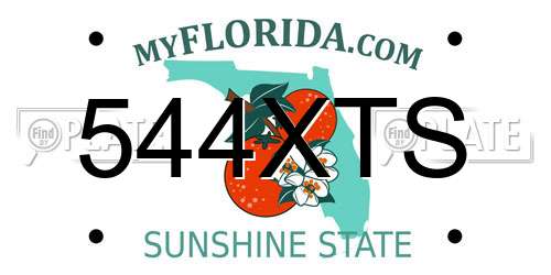 544XTS Florida License Plate