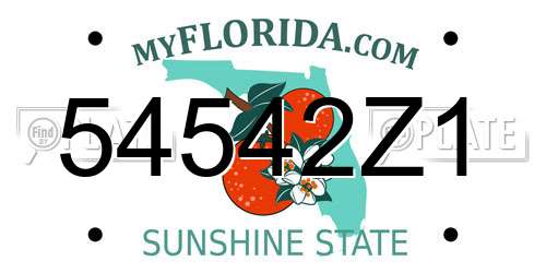 54542Z1 Florida License Plate