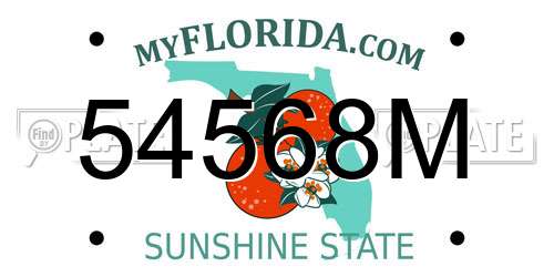 54568M Florida License Plate