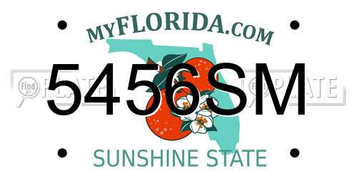5456SM Florida License Plate