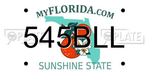 545BLL Florida License Plate
