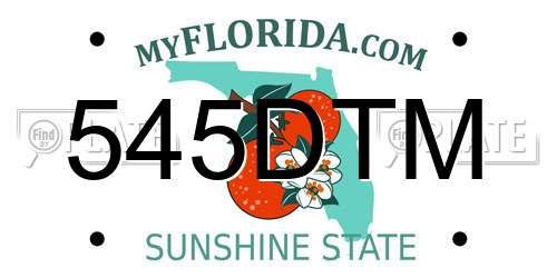 545DTM Florida License Plate