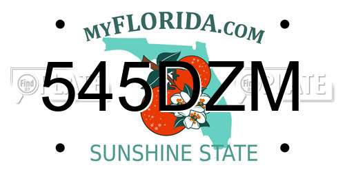 545DZM Florida License Plate