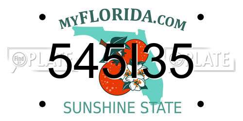 545I35 Florida License Plate