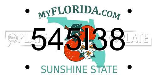 545I38 Florida License Plate