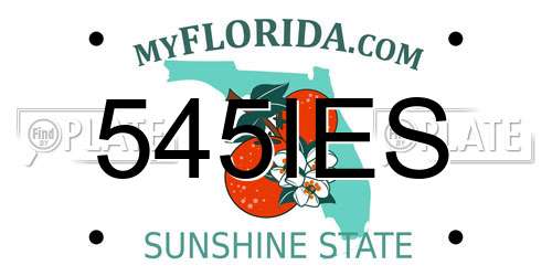 545IES Florida License Plate