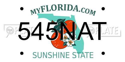545NAT Florida License Plate