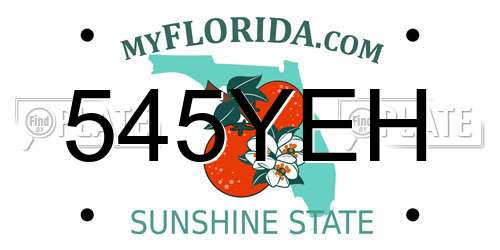545YEH Florida License Plate