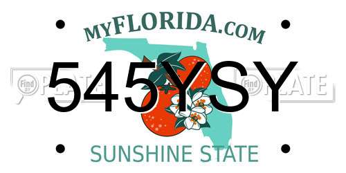 545YSY Florida License Plate