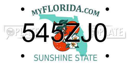545ZJ0 Florida License Plate